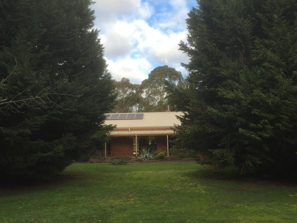 Helen'S Homestead Enfield Luaran gambar