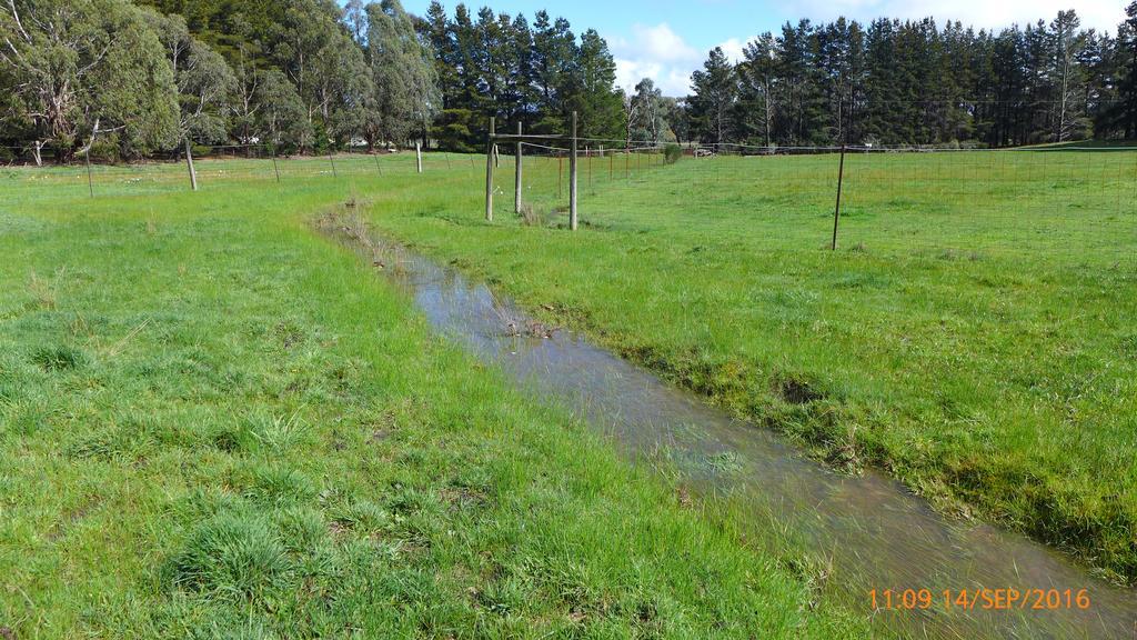 Helen'S Homestead Enfield Luaran gambar