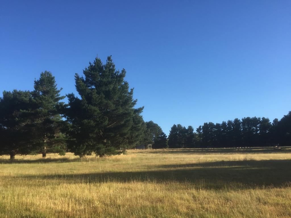 Helen'S Homestead Enfield Luaran gambar