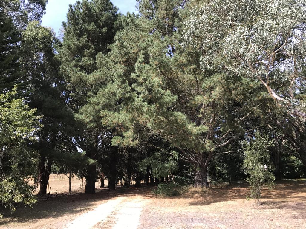 Helen'S Homestead Enfield Luaran gambar