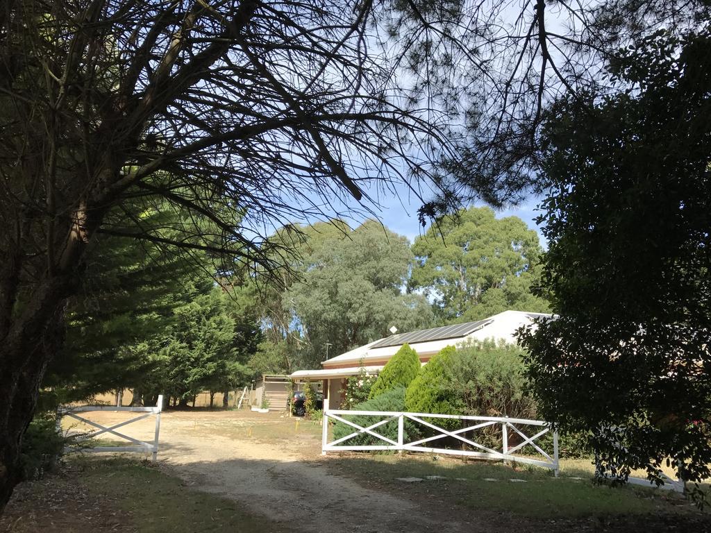 Helen'S Homestead Enfield Luaran gambar