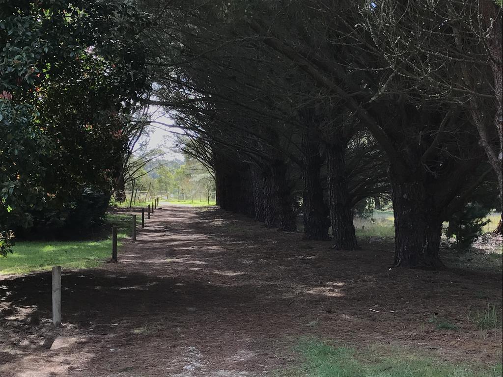 Helen'S Homestead Enfield Luaran gambar